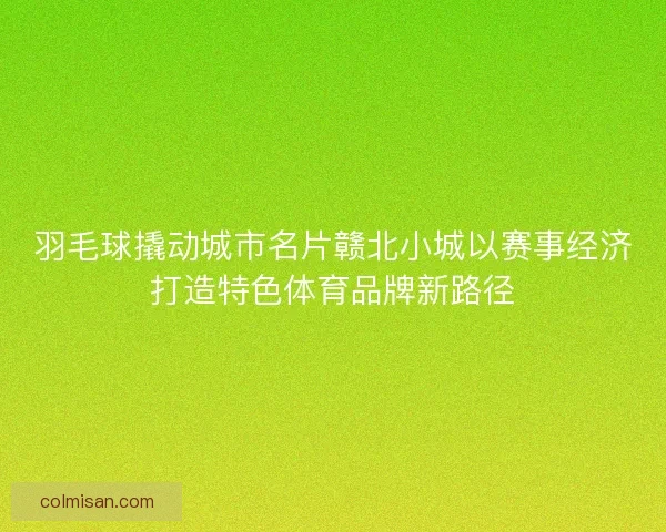 羽毛球撬动城市名片赣北小城以赛事经济打造特色体育品牌新路径