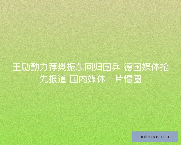 王励勤力荐樊振东回归国乒 德国媒体抢先报道 国内媒体一片懵圈